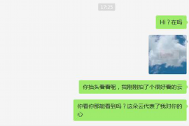 新龙企业清欠服务